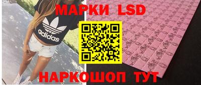 прущий лед Кингисепп