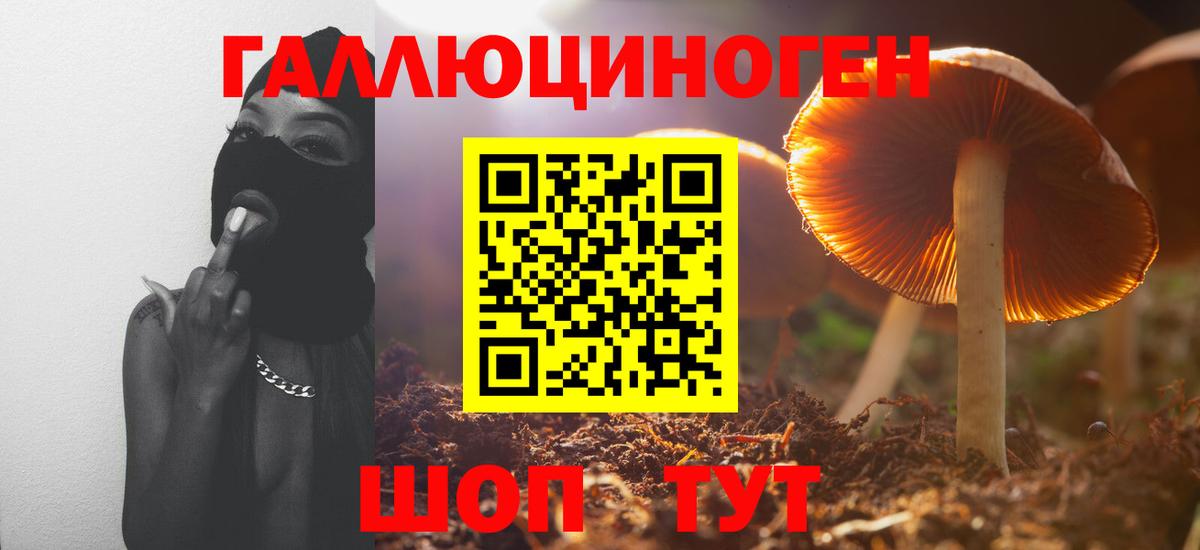 Псилоцибиновые грибы мухоморы  купить наркотик  Псилоцибиновые грибы Psilocybe  Волжск  Вход с VPN 