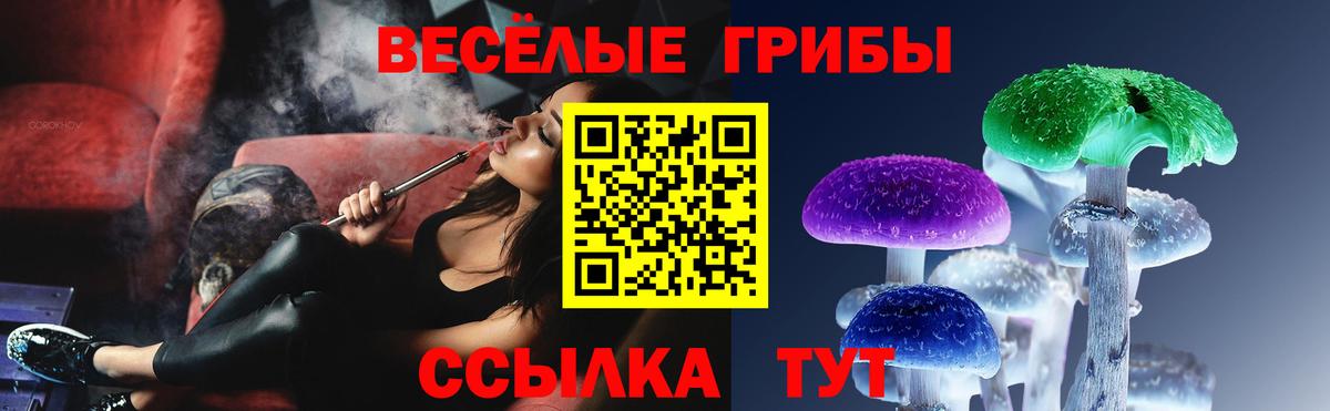 Галлюциногенные грибы Magic Shrooms Волжск